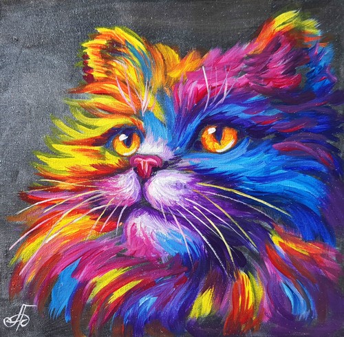 Ritratto gatto arcobaleno