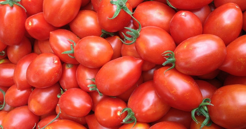 Semi sementi pomodoro - semi,