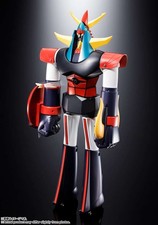 PREORDER 05/2026 Raideen