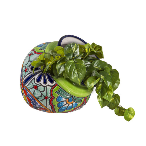 Talavera sempreverde giardino
