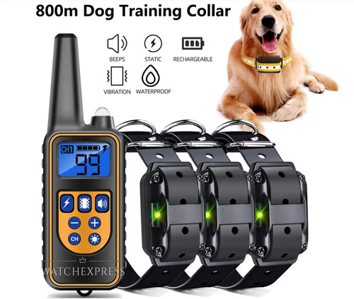 Collare cani scossa - scossa, elettrico