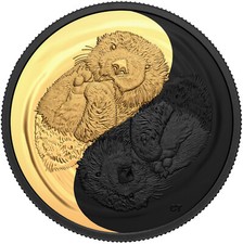 20 $ DOLLARI Nero E Oro -