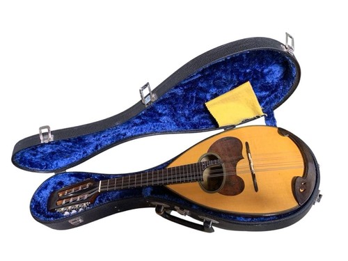 Suzuki mandolino con - mandolino,