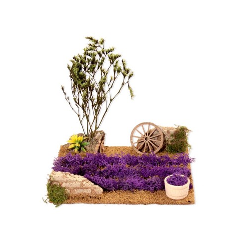 Campo lavanda con - campo,