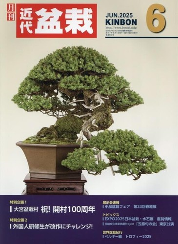 Japanese bonsai magazine - bonsai,