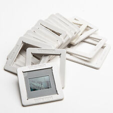 MALINVERNO 16 TELAIETTI DIA / SLIDE 6X6 RIDUZIONE A 24X36 TIPO ROLLEI 7X7!