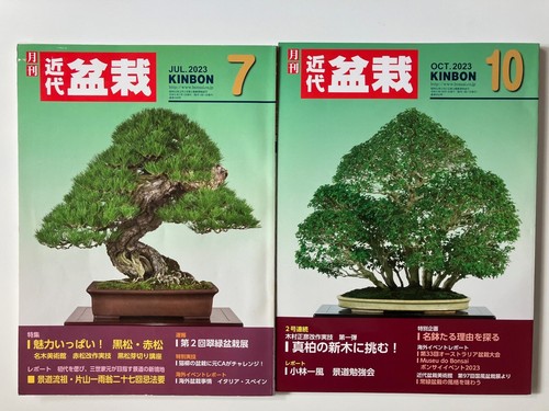 Monthly modern bonsai - bonsai, kinbon