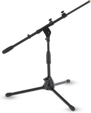 900611 Asta Microfonica