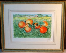 FRANCO AZZINARI - FRUTTA-