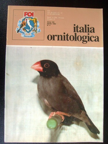 Italia ornitologica 1982 - ornitologica, 1982-