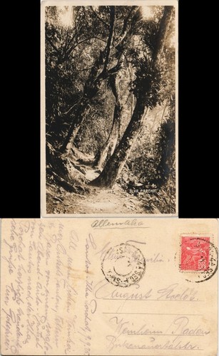 Cartolina santos urwald ilha - cartolina,