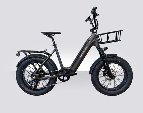Bicicletta elettrica be02 - bicicletta,