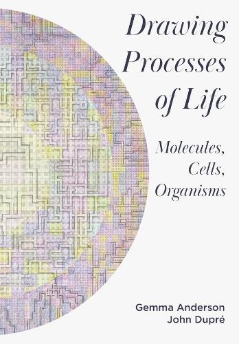 Drawing processes life by - processes, of
