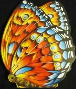 The butterfly