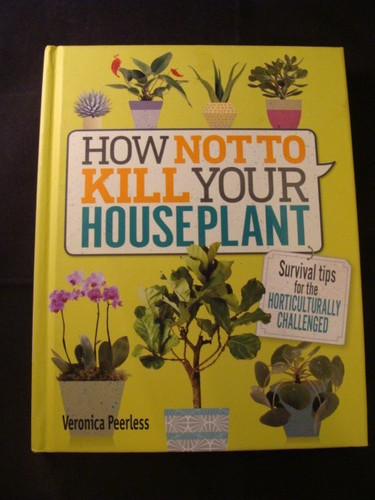 How not kill - to, your