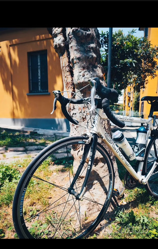 Bici bicicletta corsa olmo - bici,