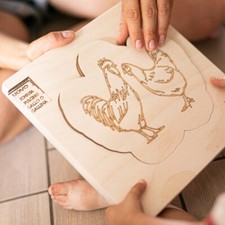 Ciclo di vita Gallo/Gallina