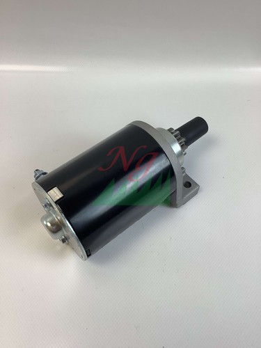 Motorino avviamento trattorino