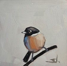 STONECHAT DIPINTO OLIO