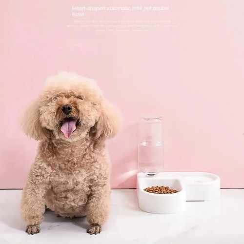 Ciotola automatica per cani - per,