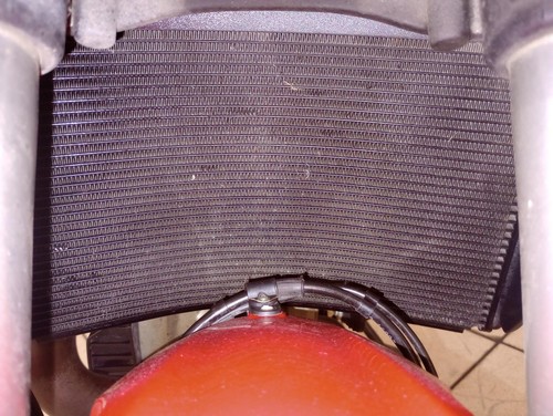Radiatore ducati monster - radiatore,