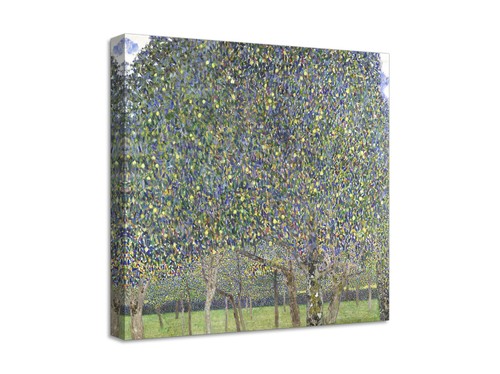 Quadro stampa tela con - quadro,