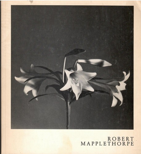 Robert mapplethorpe - robert,