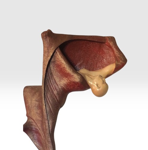 Scultura rabarama - rabarama,