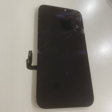 Display  Smontato Da Apple