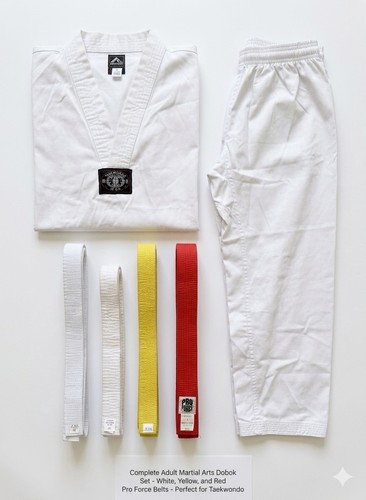 Rhingo martial arts taekwondo - rhingo,