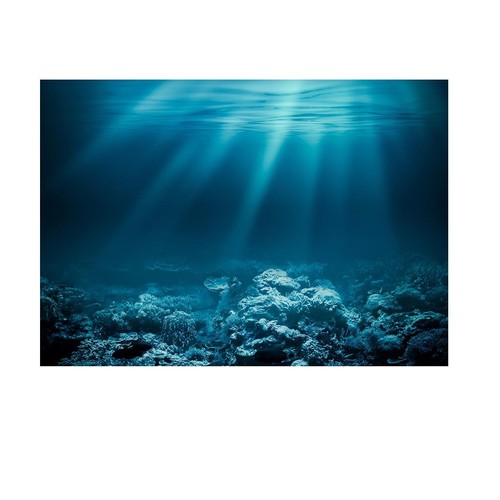 Acquario sfondo adesivo - acquario,