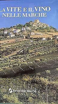 Vite vino nelle - i, marche