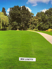 5 KG SEMENTI SEMI PRATO LOIETTO PERENNE TAPPETO ERBOSO FITTO E BRILLANTE