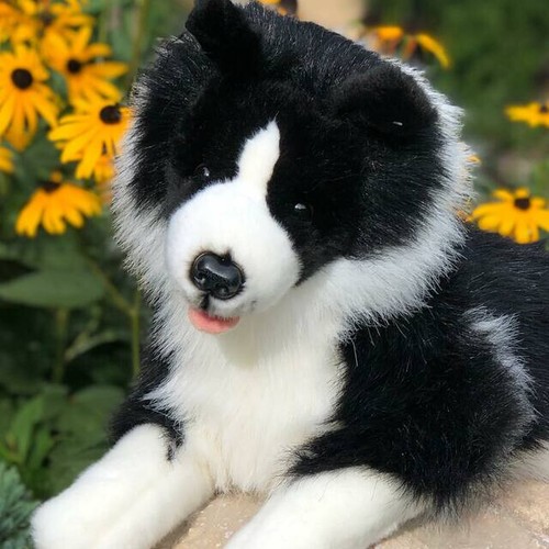 Peluche collie bordo - , posato