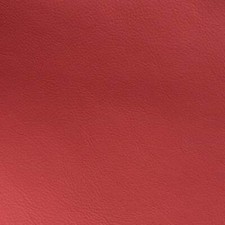 Pelle D'Auto BMW Walknappa