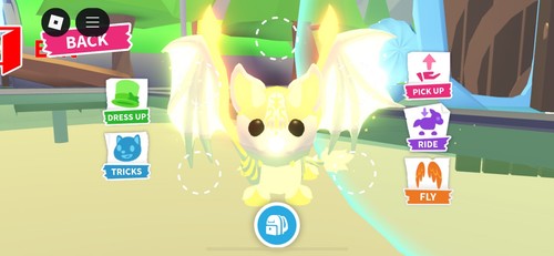 Adopt fly and - fly, ride