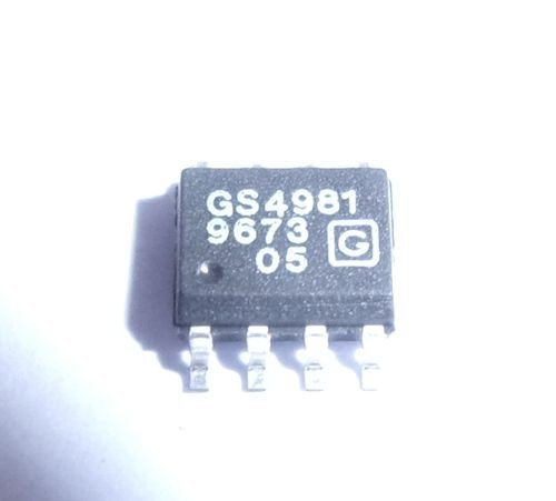Gs4981 monolithic video - 1, x