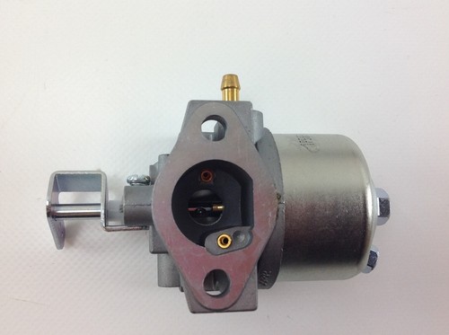Carburatore vaschetta daye - carburatore,