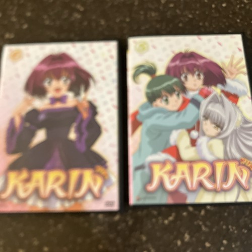 Karin vol dvd - karin,