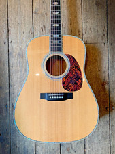 Chitarra acustica e custodia