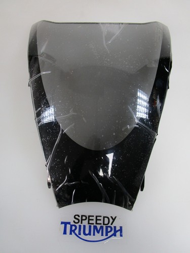 Triumph sprint schermo - st,