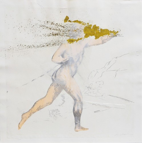 Omar galliani cavaliere - omar,