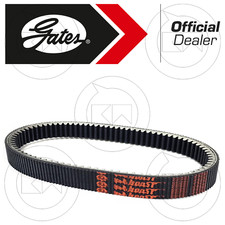 CINGHIA TRASMISSIONE KEVBELT