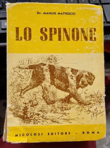 Spinone manlio matteucci - spinone,