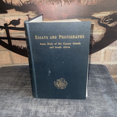 Essays and photographs domes - essays,
