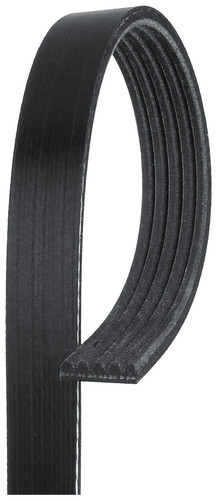 Cinghia trapezoidale per bmw - cinghia,