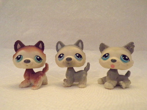 Littlest pet - littlest,
