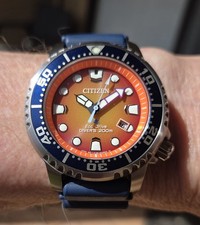 Citizen Promaster Eco Drive