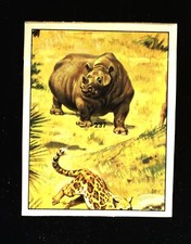 Animali Preistorici (1974)