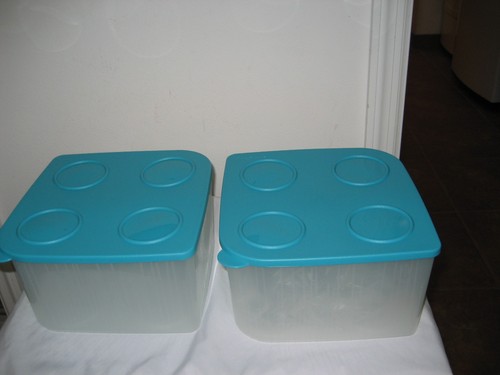 Tupperware fresh cool - fresh,